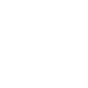 WordPress Development